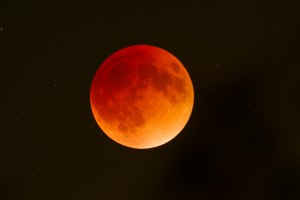 bloodmoon_1