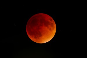 bloodmoon_2