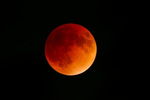 bloodmoon_3