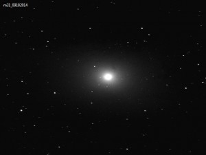 m31